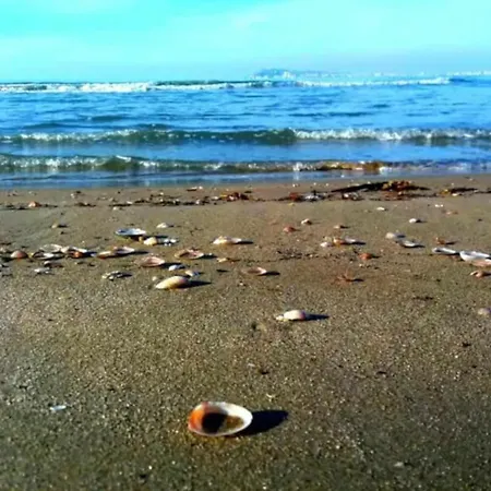 Family Friendly Nice On Albania Beach Lejlighed *